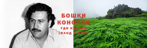 мяу мяу мука Новозыбков