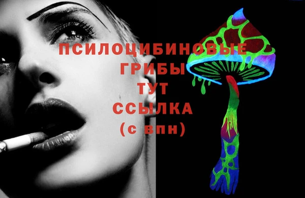 ECSTASY Нязепетровск
