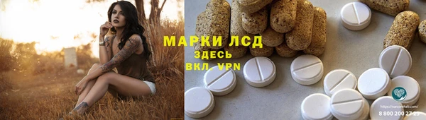 spice Новодвинск