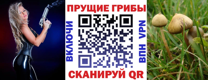 ссылка на мегу ссылки продажа наркотиков Первомайск Псилоцибиновые грибы Psilocybine cubensis